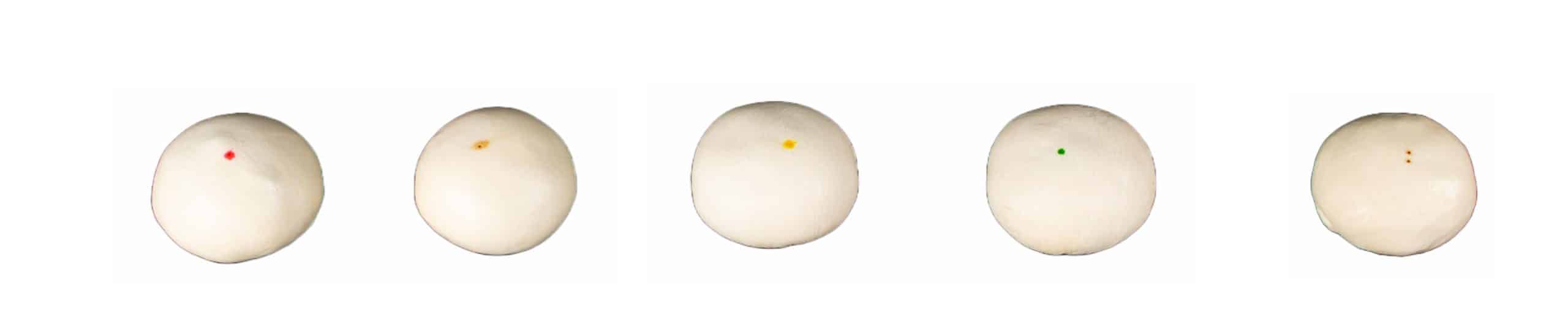 sardine bun, curry chicken bun, black pepper bun, ikan bilis bun, red bean bun